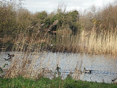 Bridgwater Without views